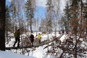 Экскурсия в экопарк Беремицкое